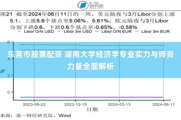 东莞市股票配资 湖南大学经济学专业实力与师资力量全面解析