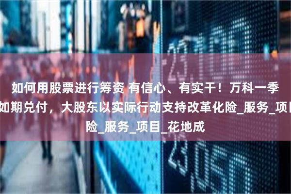 如何用股票进行筹资 有信心、有实干！万科一季度公开债如期兑付，大股东以实际行动支持改革化险_服务_项目_花地成