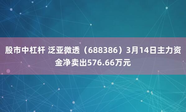股市中杠杆 泛亚微透（688386）3月14日主力资金净卖出576.66万元