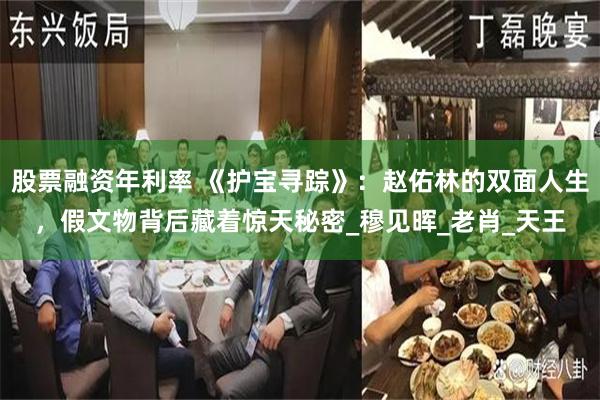 股票融资年利率 《护宝寻踪》：赵佑林的双面人生，假文物背后藏着惊天秘密_穆见晖_老肖_天王